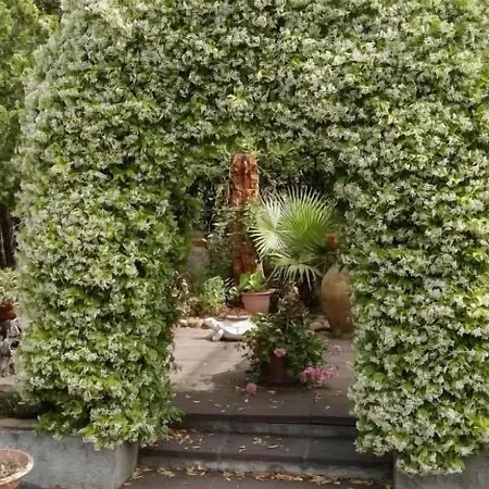 La Rocca Del Gelsomino Bed & Breakfast 2*